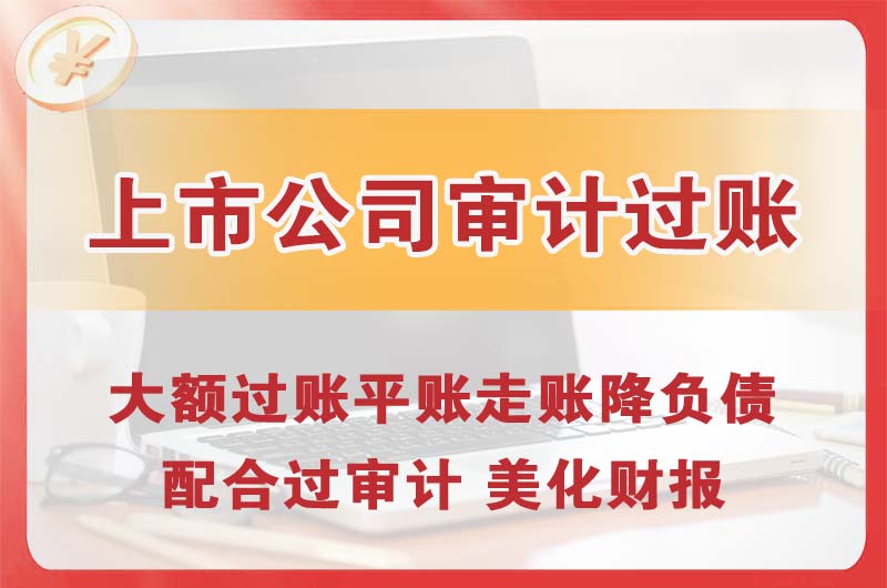 寻甸上市公司审计过账